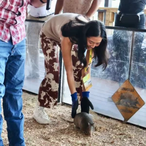 Guest releasing armadillo during race at Imagen Venues, a turn-key corporate event venue in Houston