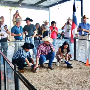 Corporate guests participating in armadillo races at Imagen Venues, a turn-key corporate event venue in Houston