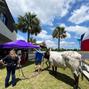 Guests enjoying the longhorns exhibition with photo booth at Imagen Venues in Houston