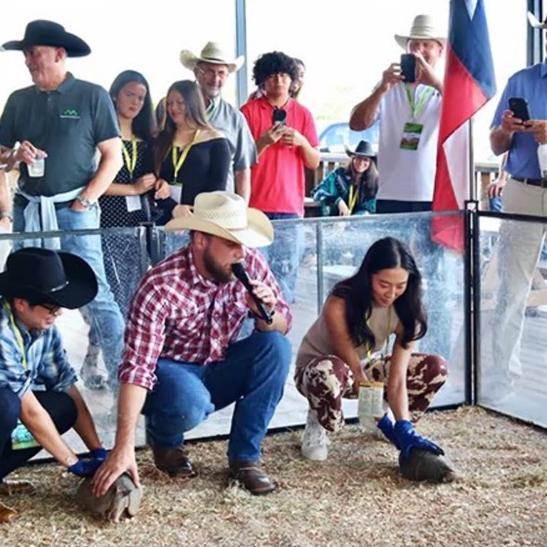 Armadillo races entertaining guests at a Houston corporate event