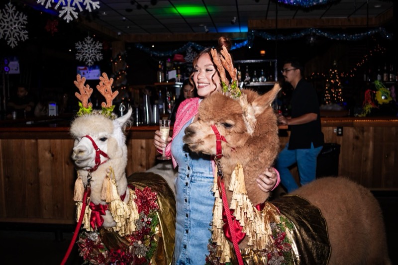 Guest with two festive alpacas at the Stampede bar