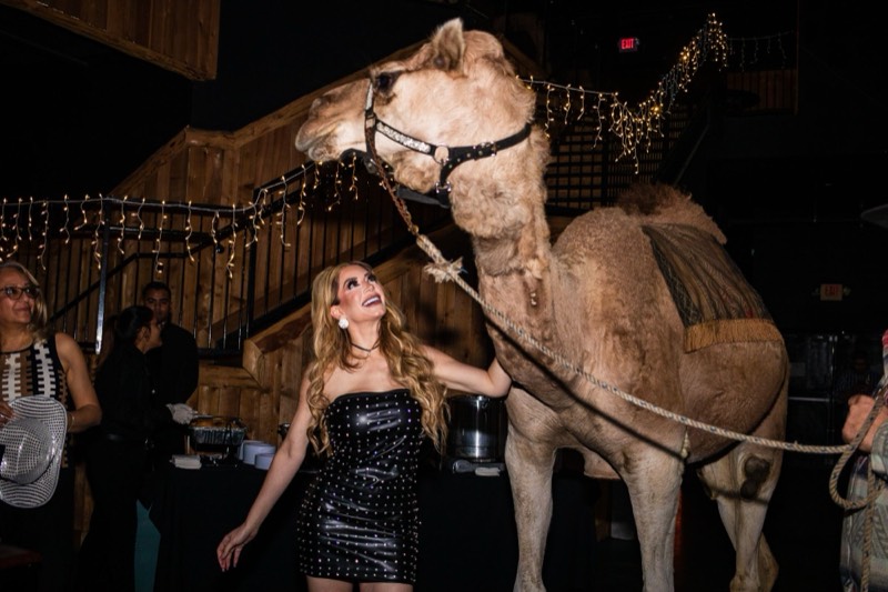 Camel greeting guests at an Imagen Venues holiday party